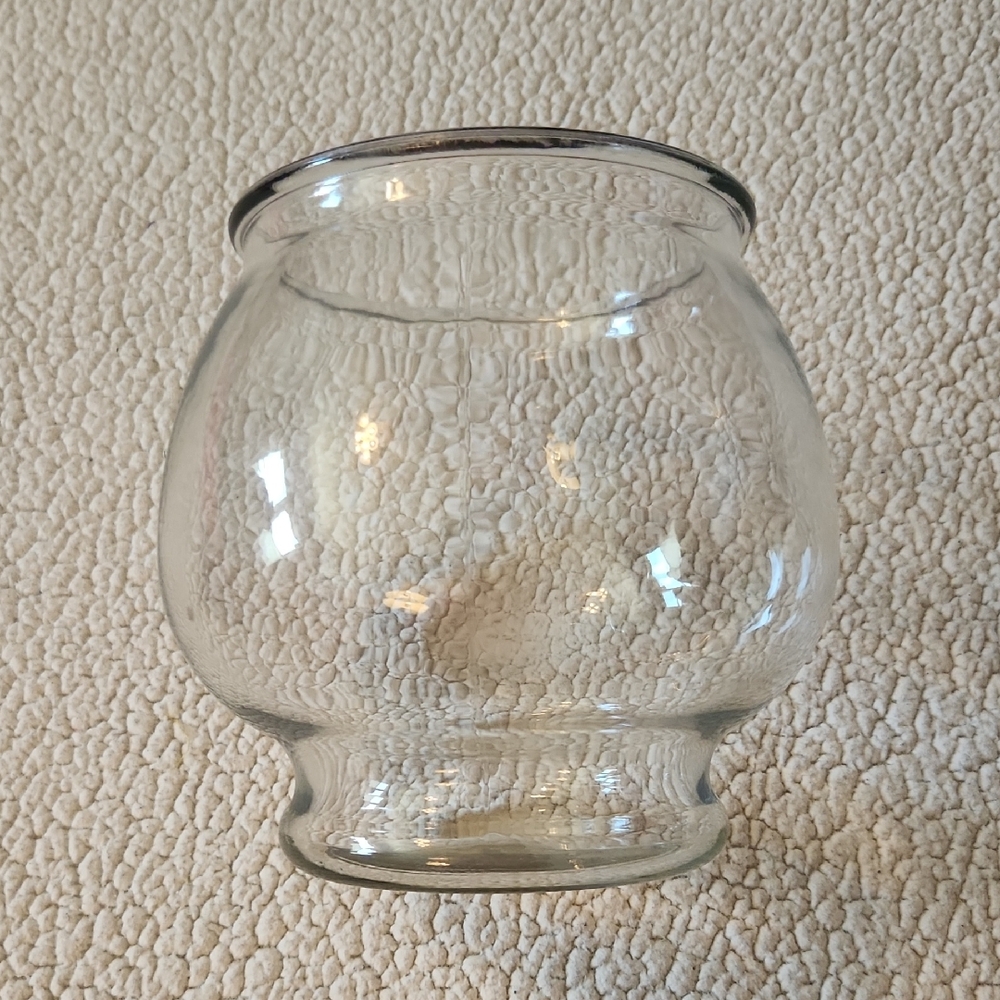Vibrant Life Footed Glass Fish Bowl